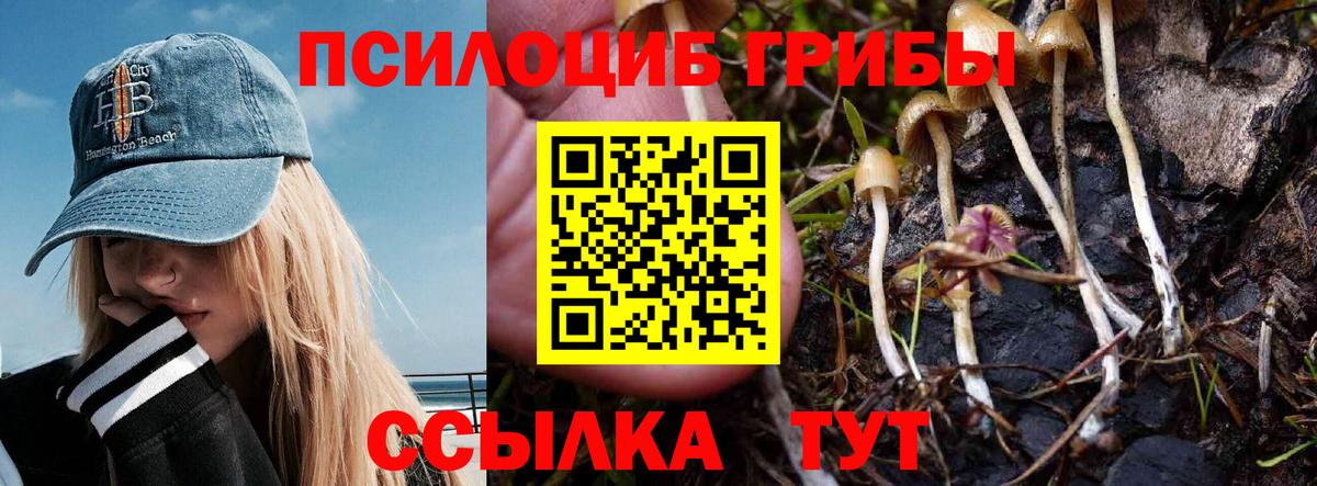 Псилоцибиновые грибы мицелий Еманжелинск